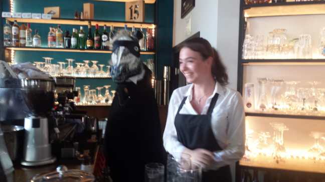 3a1ea81b-4679-4a00-92aa-ed28c4d546df