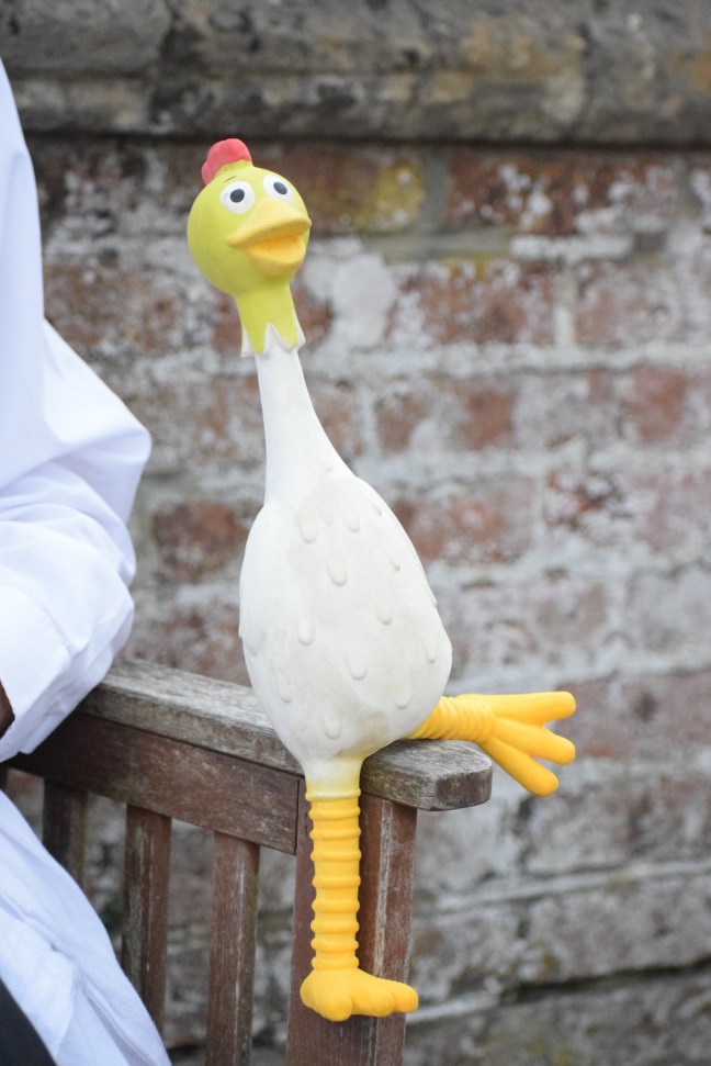 bb592fda-52c7-4e59-9ed3-55ab8099262f